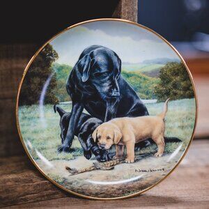 Franklin Mint “Spring Training” Labrador Collector Plate – Nigel Hemming, 24K Go
